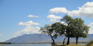 West Lunga National Park West Lunga National Park Zambia