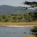 Arusha National Park Tanzania