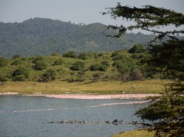 Arusha National Park Arusha National Park Tanzania