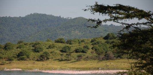 Arusha National Park Arusha National Park Tanzania
