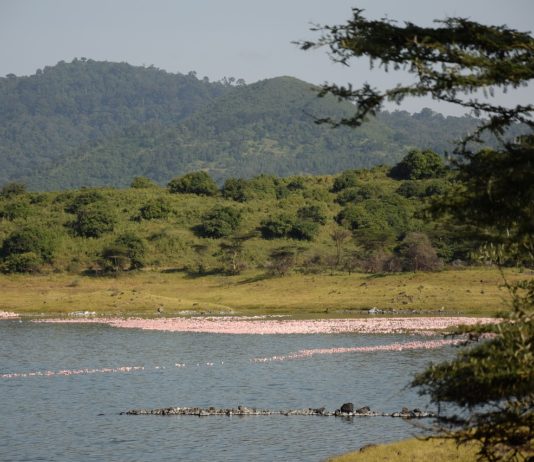 Arusha National Park Arusha National Park Tanzania