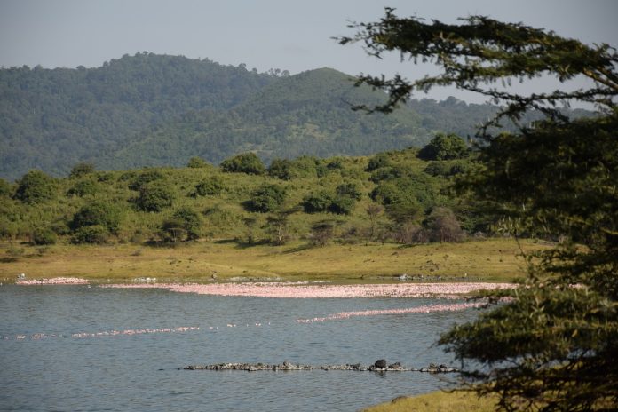 Arusha National Park Tanzania