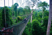 Kakum National Park Kakum National Park Ghana