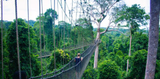 Kakum National Park Kakum National Park Ghana