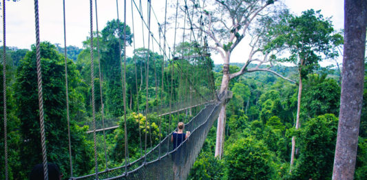 Kakum National Park Kakum National Park Ghana