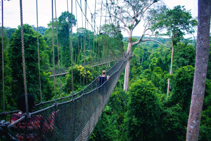 Kakum National Park Ghana