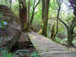 Nyanga National Park Nyanga National Park Zimbabwe