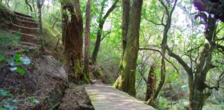 Nyanga National Park Nyanga National Park Zimbabwe