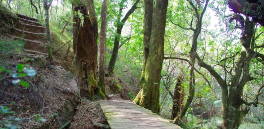 Nyanga National Park Nyanga National Park Zimbabwe