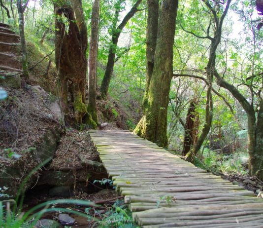 Nyanga National Park Nyanga National Park Zimbabwe