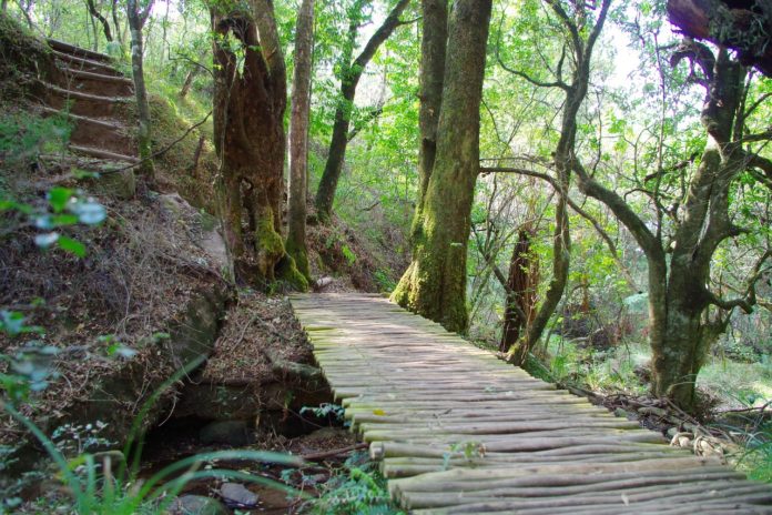 Nyanga National Park Zimbabwe