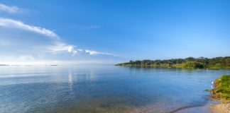 Rubondo Island National Park Rubondo Island National Park Tanzania