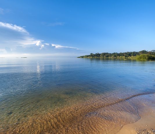 Rubondo Island National Park Rubondo Island National Park Tanzania