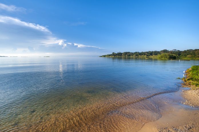 Rubondo Island National Park Tanzania