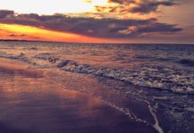 Saadani National Park Saadani National Park Tanzania