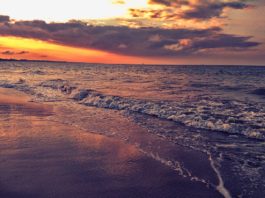 Saadani National Park Saadani National Park Tanzania