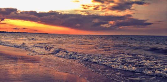 Saadani National Park Saadani National Park Tanzania