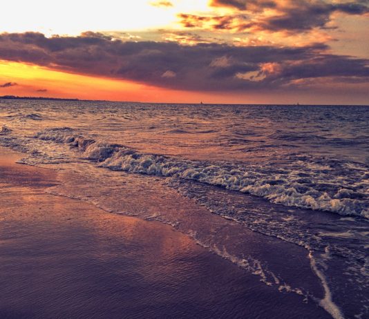 Saadani National Park Saadani National Park Tanzania