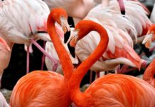 Tsimanampetsotsa National Park Tsimanampetsotsa National Park Madagaskar