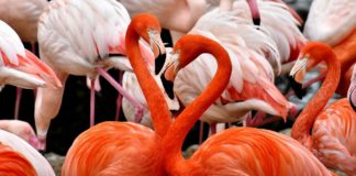 Tsimanampetsotsa National Park Tsimanampetsotsa National Park Madagaskar