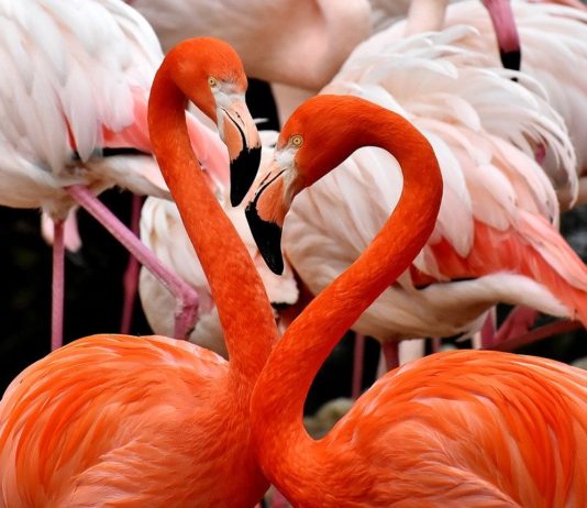 Tsimanampetsotsa National Park Tsimanampetsotsa National Park Madagaskar