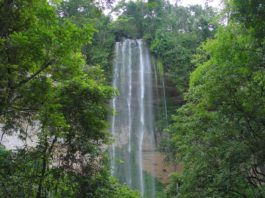 Bridal Veil Falls Bridal Veil Falls Guinee