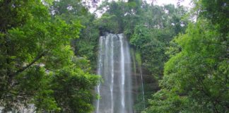 Bridal Veil Falls Bridal Veil Falls Guinee