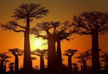 De Mangoky rivier De Mangoky rivier Madagaskar