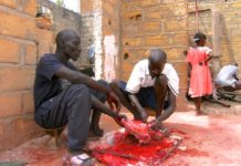 Kaolack en Tabaski Kaolack Senegal