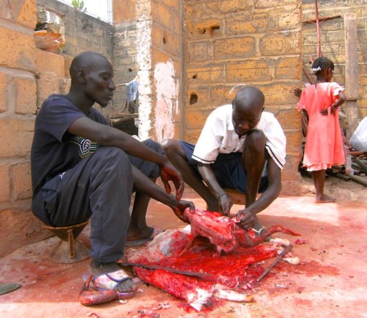 Kaolack en Tabaski Kaolack Senegal