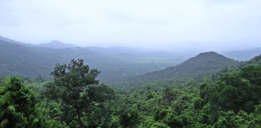 Korup National Park Korup National Park Kameroen