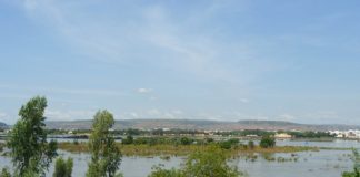 Pirogues op de Niger rivier Niger rivier Mali