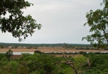 Parc National du Haut Niger Parc National du Haut Niger