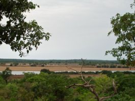 Parc National du Haut Niger Parc National du Haut Niger
