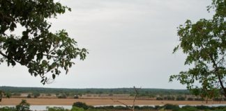 Parc National du Haut Niger Parc National du Haut Niger