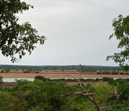 Parc National du Haut Niger Parc National du Haut Niger