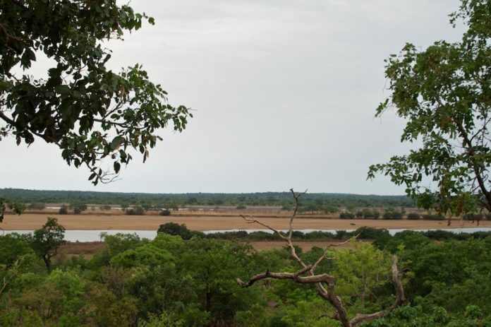 Parc National du Haut Niger