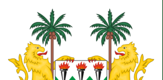 Sierra Leone: Bio verzekert zich van tweede termijn terwijl oppositieleider de resultaten afwijst wapen Sierra Leone