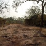 Weg van Buruntuma naar Koundara