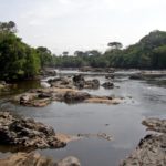 Epulu Okapi Wildlife Reserve Congo
