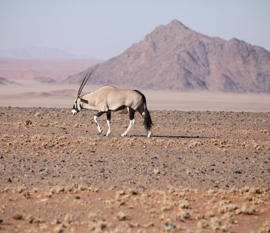 Iona National Park is de oudste woestijn ter wereld Iona National Park Angola
