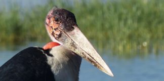 Kundelungu National Park Kundelungu National Park Congo