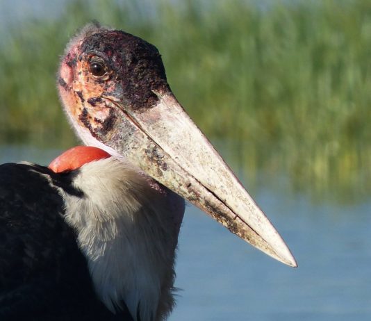 Kundelungu National Park Kundelungu National Park Congo