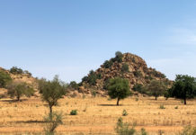 Wongo National Park Wongo National Park Mali