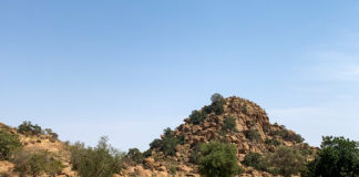 Wongo National Park Wongo National Park Mali