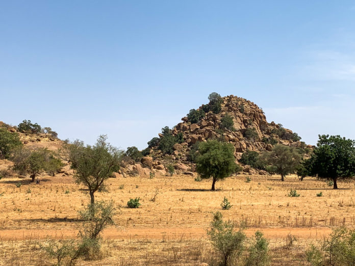 Wongo National Park Mali