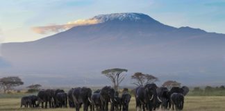 Amboseli National Park Amboseli National Park Kenia