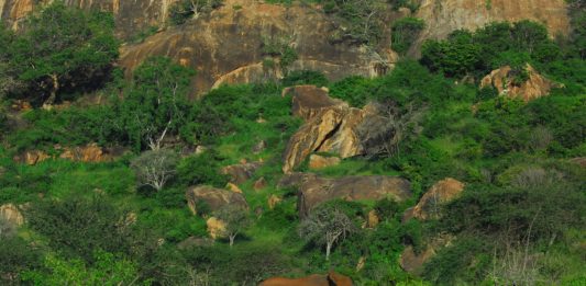 Tsavo West National Park Tsavo West National Park Kenia