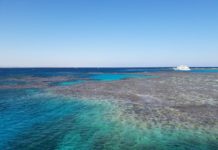 Gebel Elba National Park Gebel Elba National Park