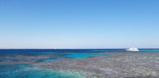 Gebel Elba National Park Gebel Elba National Park